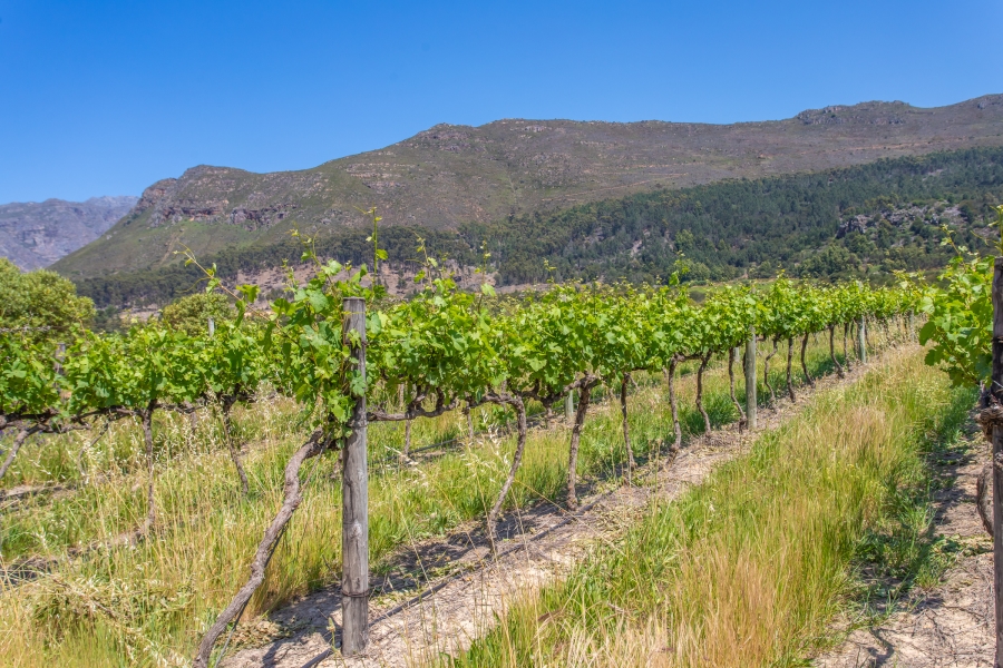 0 Bedroom Property for Sale in Franschhoek Rural Western Cape